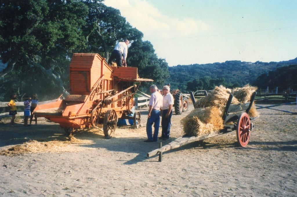 Aggius Agriturismo Il Muto Di Gallura מראה חיצוני תמונה