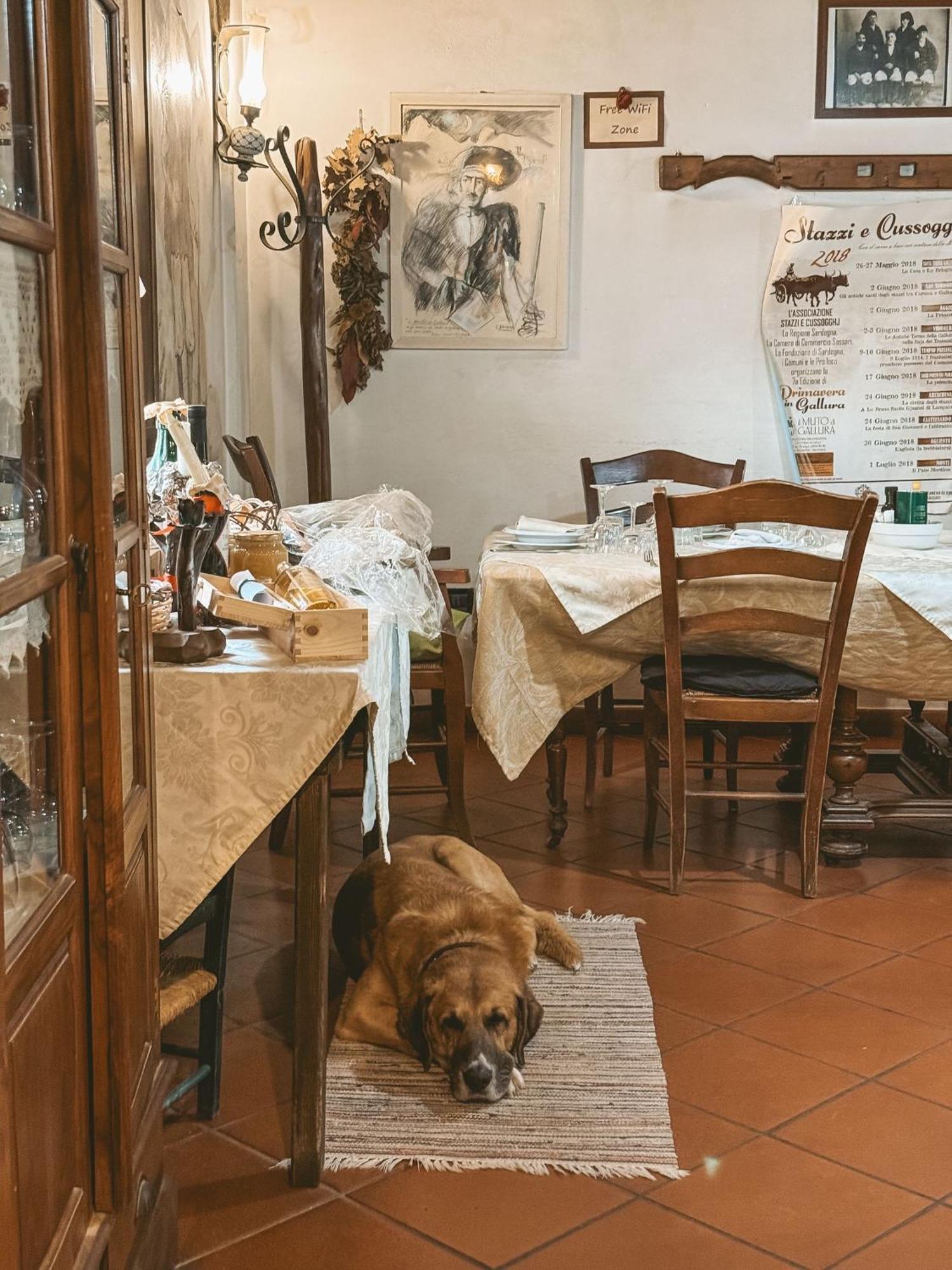Aggius Agriturismo Il Muto Di Gallura מראה חיצוני תמונה