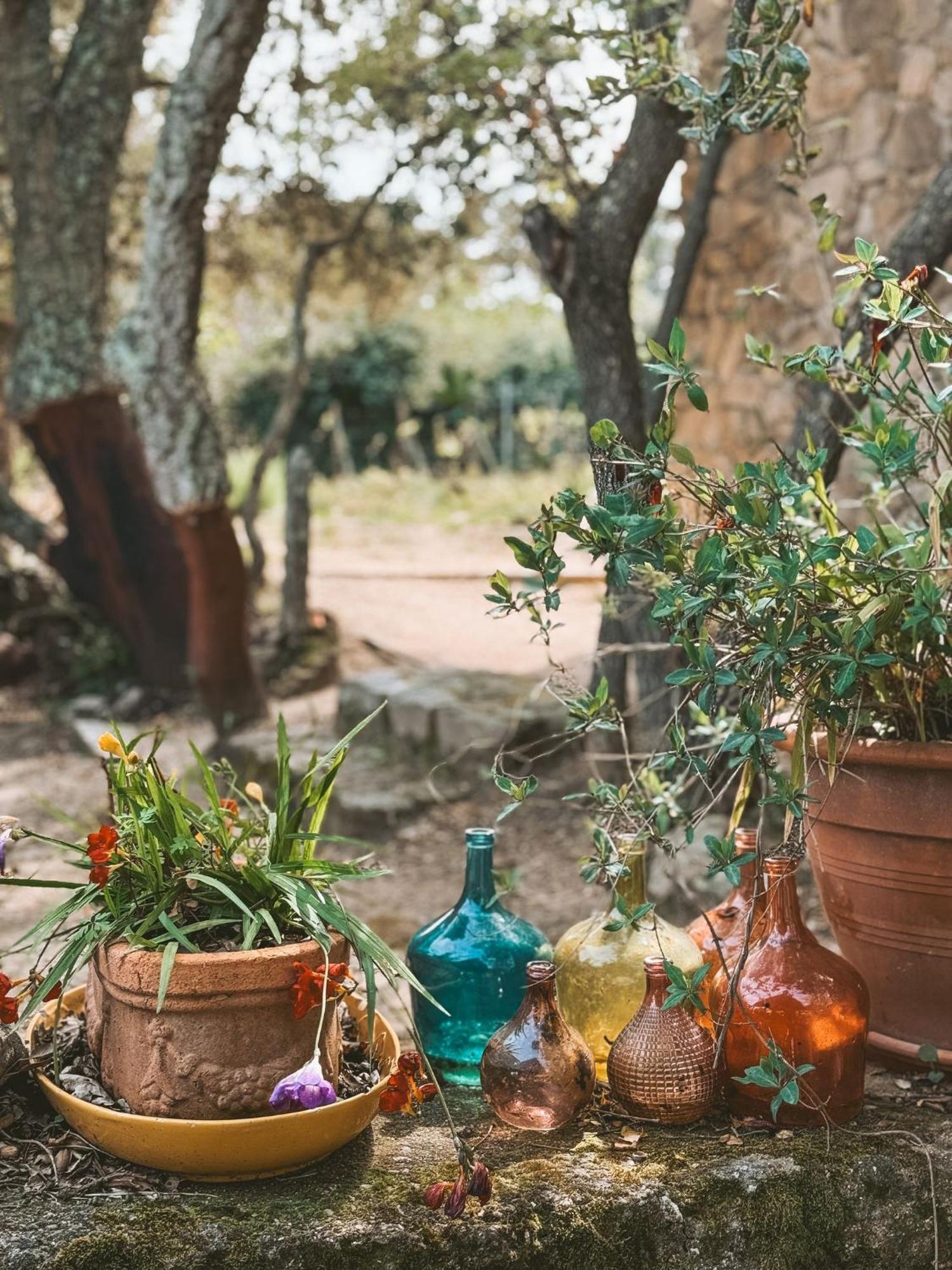 Aggius Agriturismo Il Muto Di Gallura מראה חיצוני תמונה