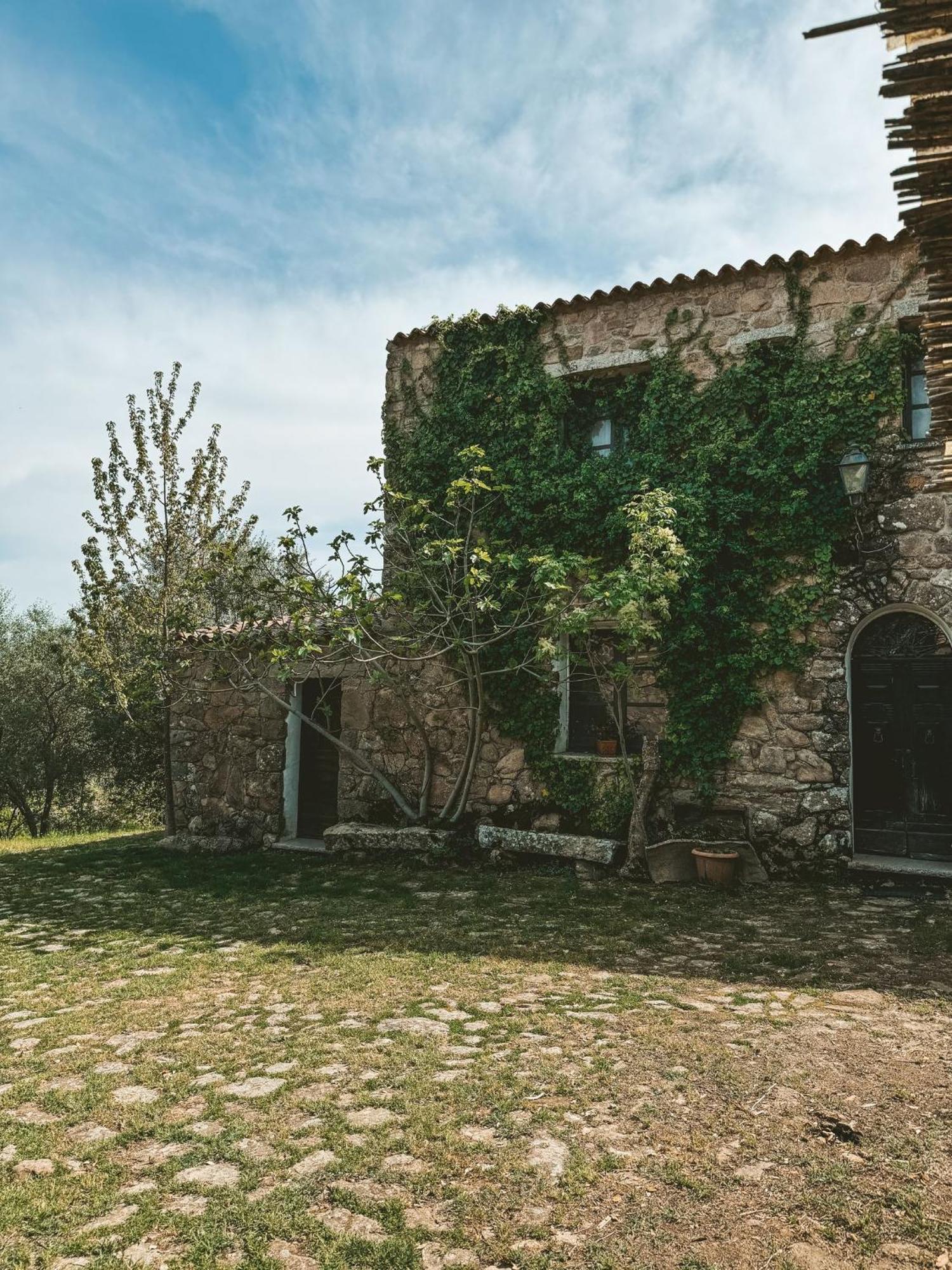 Aggius Agriturismo Il Muto Di Gallura מראה חיצוני תמונה