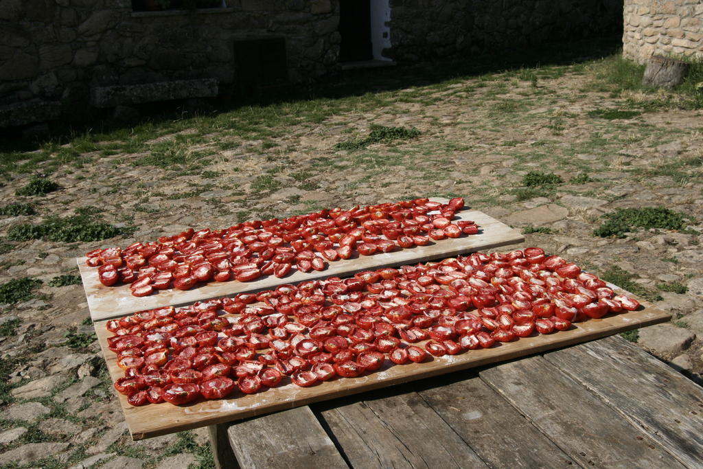 Aggius Agriturismo Il Muto Di Gallura מראה חיצוני תמונה