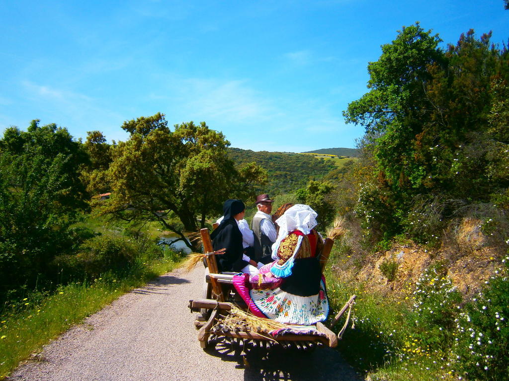 Aggius Agriturismo Il Muto Di Gallura מראה חיצוני תמונה
