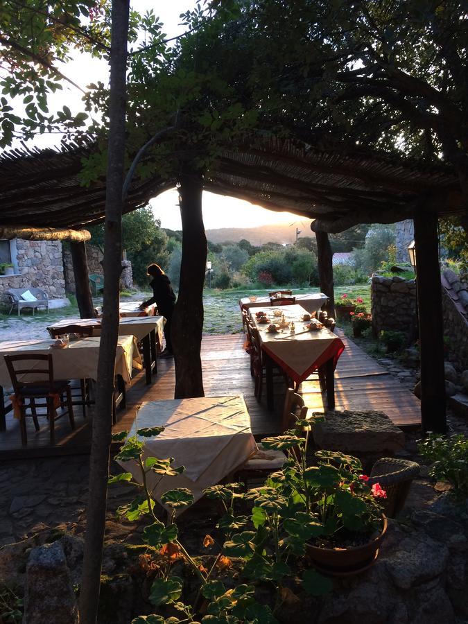 Aggius Agriturismo Il Muto Di Gallura מראה חיצוני תמונה