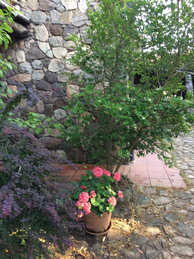 Aggius Agriturismo Il Muto Di Gallura מראה חיצוני תמונה